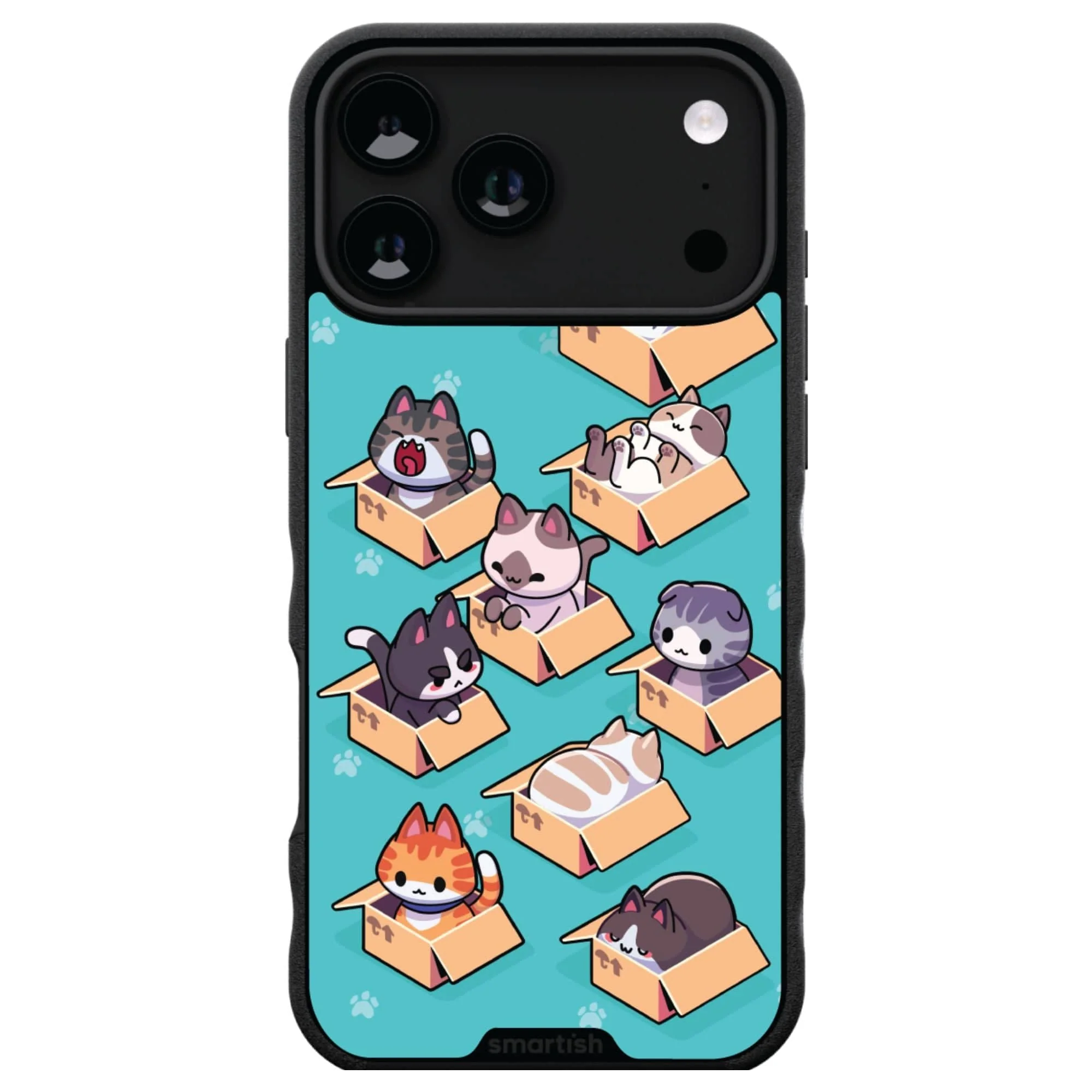 Meow Mail