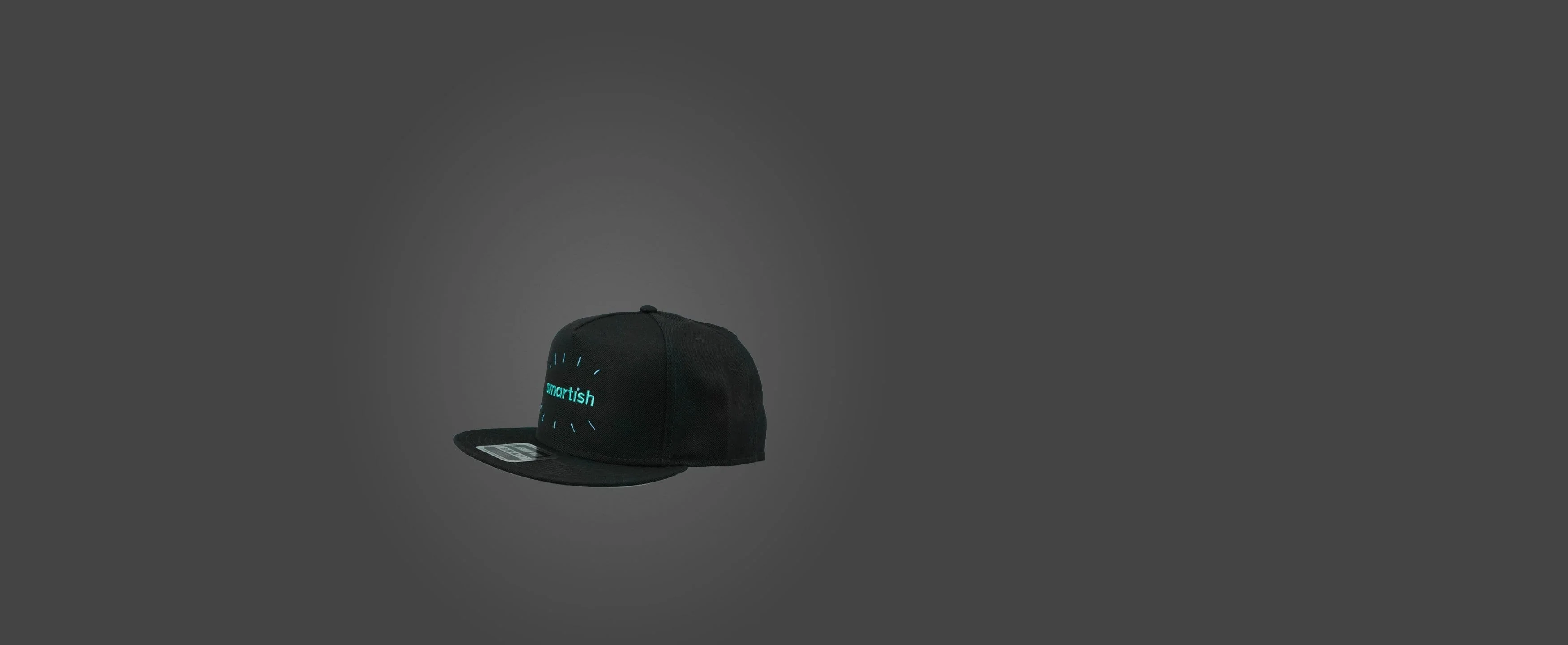 Smartish Headgear - Snapback - Image 3